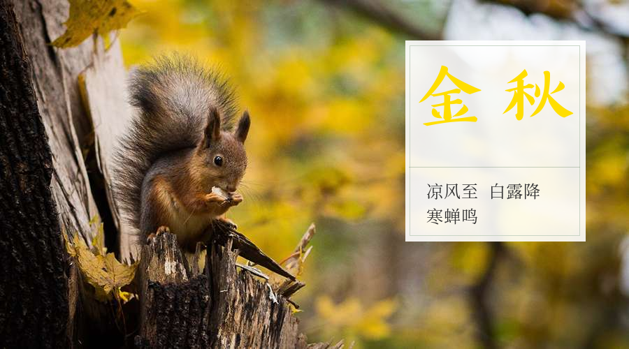 末伏夏盡 秋日以立